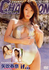 t uCHAMPION VENUS SELECTION `Ifc`v
