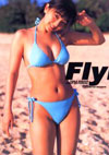 cT ʐ^W uFlyingv